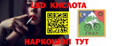 соль ск Сланцы