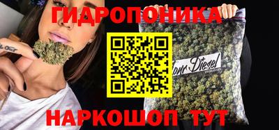 соль ск Сланцы