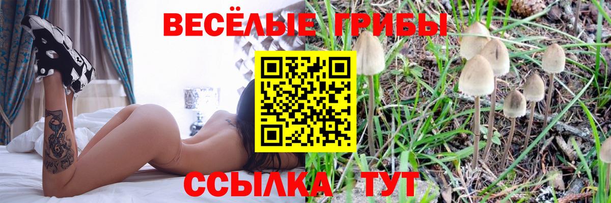 Псилоцибиновые грибы мицелий Барнаул